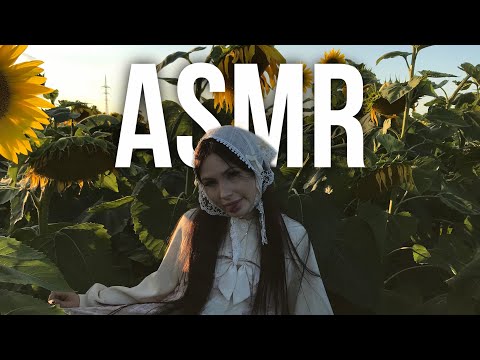 asmr на поле с подсолнухами 🌻