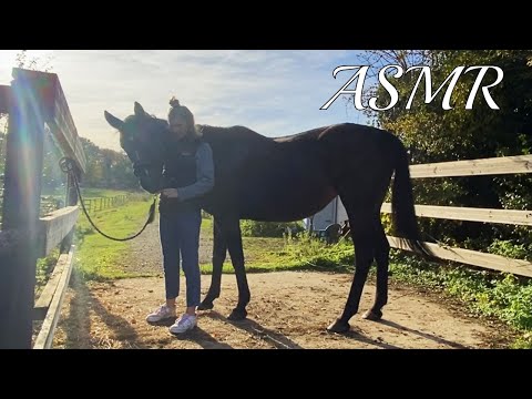 [ASMR FR] Vlog | Venez à L'écurie Avec Moi ❤️ [Bruits de nature + chevaux]