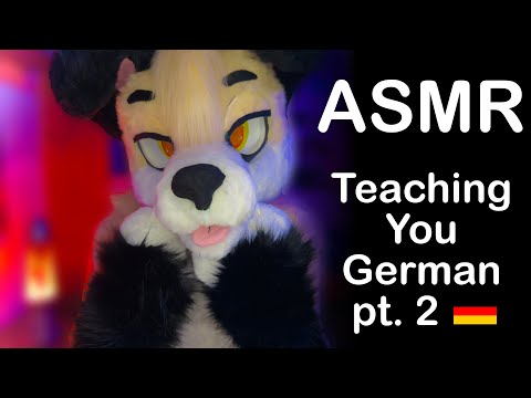 [Furry ASMR] Dog Teaches You Some German Words Part 2