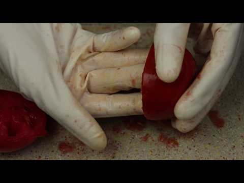 ASMR  The Best Tomato Touching Sounds | You’ve Never Heard Before!