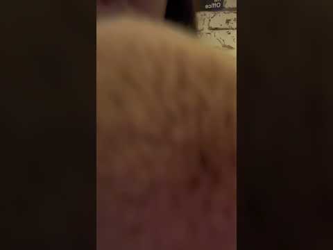 ASMR - Face Brushing #asmr #lofiasmr