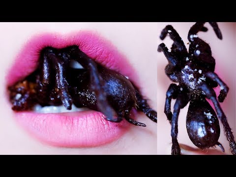 ASMR Eating lips focus Fried Spider,exotic food,Crunchy eating sounds +食べる,咀嚼音,먹방 이팅 | LINH-ASMR