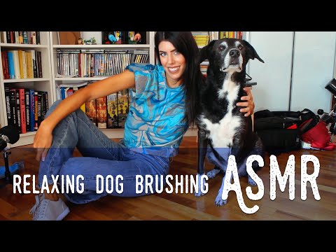 ASMR ita - 🐶 BRUSHING e COCCOLE sul CANE della mia AMICA • WARNING: PROVOCA TENEREZZA! 💓