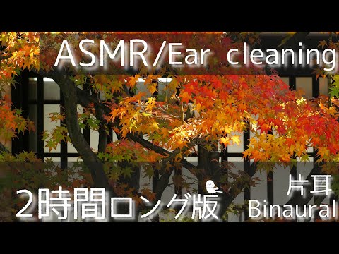 【ASMR/Ear Cleaning/Binaural】涼しくなった夜のおともに2時間ロング【片耳版/耳かき/イヤホン必須】