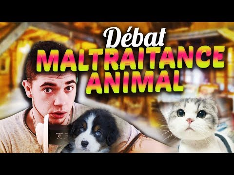 🐻 ASMR : Débat sur La Maltraitance Animal 😿