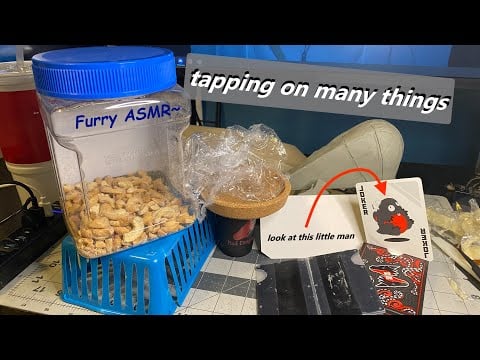 [Furry ASMR] tapping on many different things