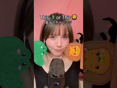 ASMR 毛皮で音当てクイズ🐊🦁何個当たった？This or This❓Animal Fur Challenge #asmr #thisorthat