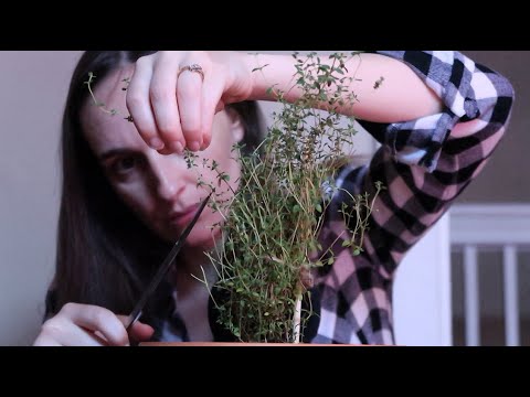 ASMR🌱Soft Spoken Indoor Gardening🌱 ~ Trimming Several plants