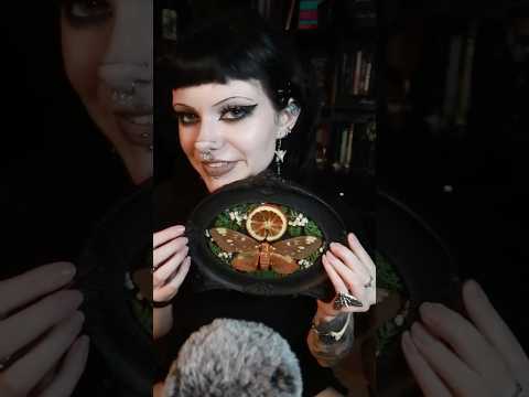 ASMR | Oddities I’ve Made Recently