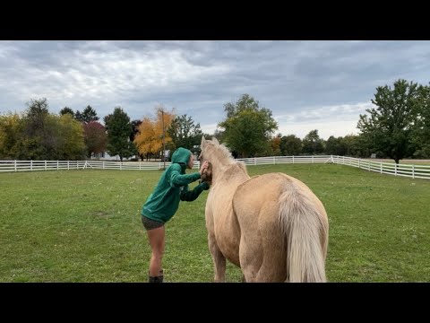 ASMR Vlog - Spend a Day with Me