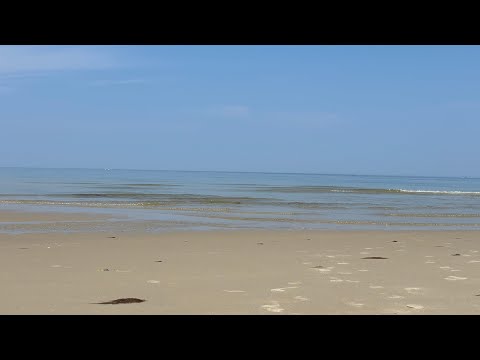 ASMR| Beach Day ☀️🐚