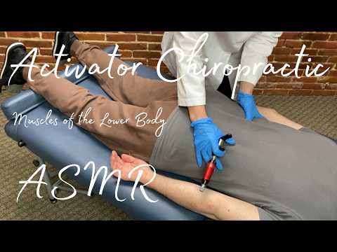 Activator Chiropractic ASMR - Muscles of the Lower Body