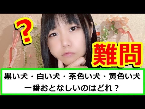 【生配信】外国なぞなぞ！難問でも解ける天才はいますか？【女性配信者】