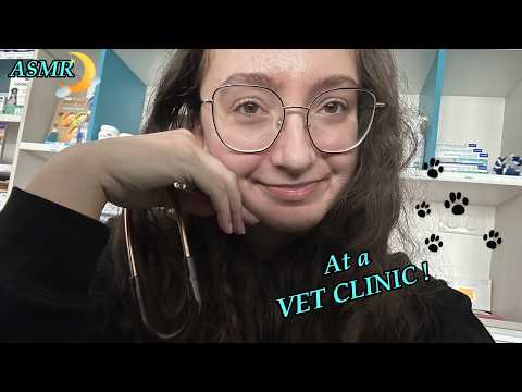 Lofi ASMR at a Vet Clinic 🐾😺