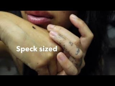 Pov Tiny: How Do I Take Care of Someone This Tiny? | gentle Giantess ASMR