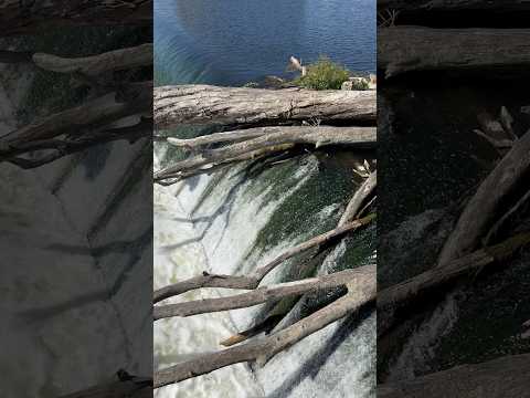 Waterfall ASMR | No Talking #ASMR #Shorts