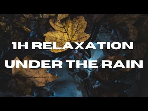 1H Relaxation Under The Rain loop - Relax sous la pluie - Rest relax study meditation