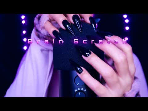 ASMR Fast & Aggressive Deep Brain Scratching (No Talking)