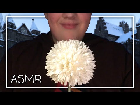 ASMR Der Verbotene Wald ruft! • Harry Potter Roleplay 🎭 (Deutsch/German)