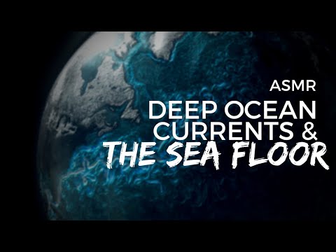 ASMR | (Viewer Choice!) Deep Sea Currents and the Seafloor