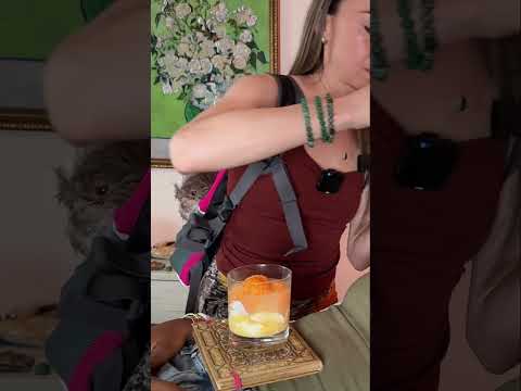Asmr reiki #reiki #asmr #asmrsounds #asmrvideo #healing #relax #relaxing #sleep #satisfying #peace