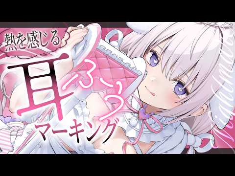 〖 ASMR⌇KU100 〗 ふぅ〜♡はむっ♡ごりゅ♡弱点を執拗に責めちゃいますね…♡ 〖 耳ふぅ / 耳塞ぎ /リアル感 /  Japanese/Vtuber〗