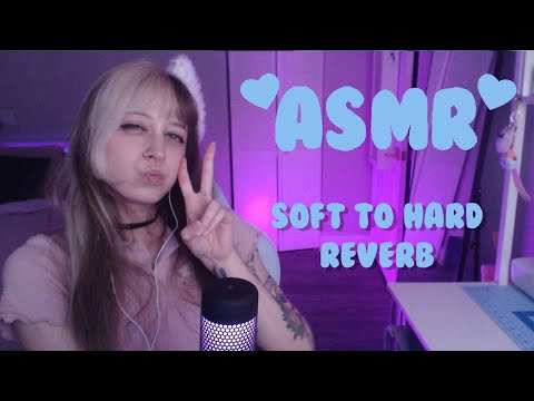 ASMR 💗 Reberb tapping soft to hard