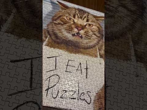 ASMR Scratching On A Cat Puzzle #ASMR #Shorts