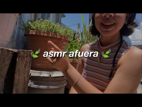 asmr en mi terraza (no talking, tapping, sonidos de naturaleza) // crysta asmr ♡