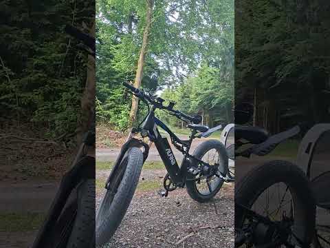 Today I was with my Dog and the bike into the forest #shorts #forestsounds #ambience