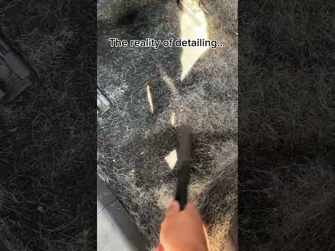 The reality of detailing… #satisfying #fyp  #cardetailing