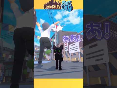 道の真ん中に立ってると人間が転ぶ様を見られます😸😸 #asmr #shorts #littlekittybigcity