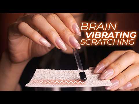 ASMR Brain Vibrating Scratching with 3D Brain Penetration (No Talking)