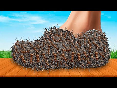 ASMR Gentle Shoes Care 💖 | Deep Sleep & Calm Vibes
