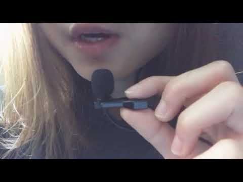 ASMR A~Z List of Animals~Whispering
