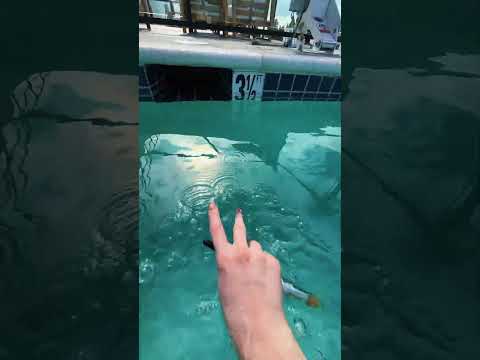 if I write your name you have to go to sleep #ASMR #ASMRGame #PoolASMR #LofiASMR #OddlySatisfying