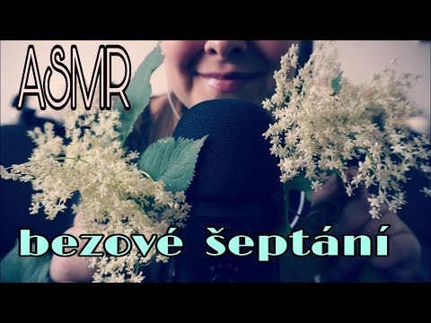 ASMR CZECH /CZ/  Šeptání o bezu černém ❤️