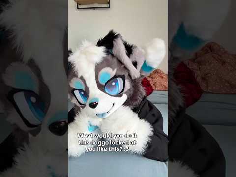 I think he wants something from you 🤔 #furry #fursuit #furries #fursuitfriday #furryfriend