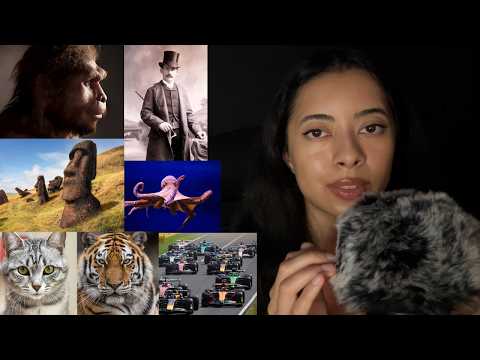 ASMR random facts #4