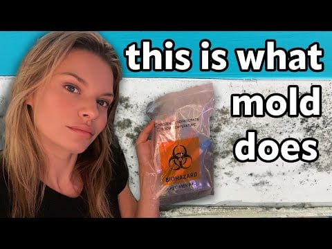 Mold Toxicity is Real. Hidden Mycotoxins Destroyed My Health