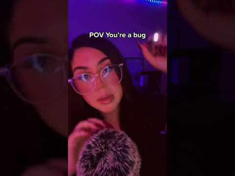 Pov You're a bug #shorts