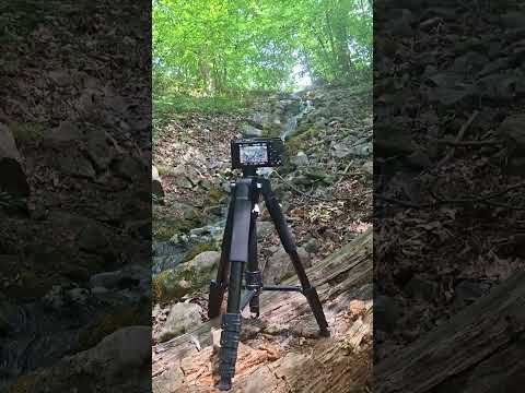 wonderful nature,today I recorded a new video