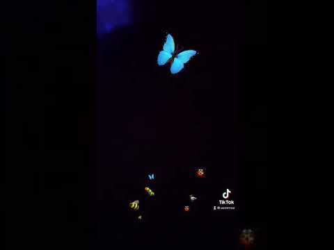 ASMR noa bug search!