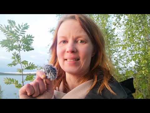 Midsummer Magic in Finland | Nature ASMR
