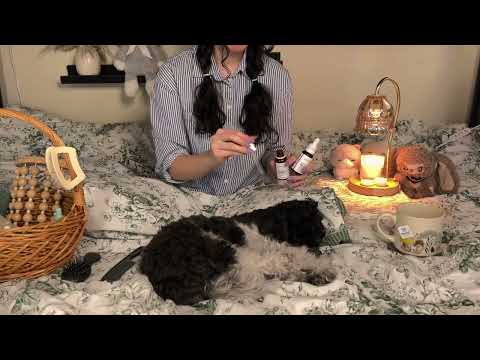 ASMR Cozy Day Inside with Oliver the Maltipoo | Dry Brushing & Crunchy sounds