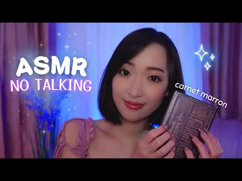1H ASMR 100% CARNET MARRON 🤎 le meilleur tapping de ta vie (NO TALKING) 🌙
