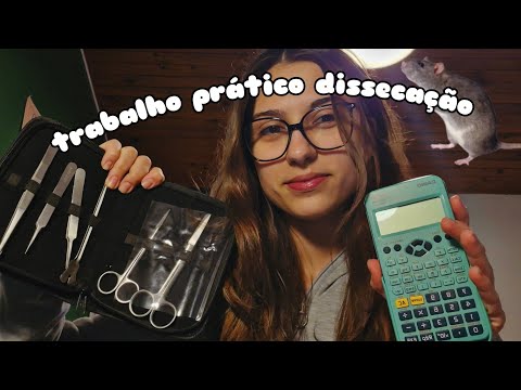 ASMR ARRUMANDO MEU MATERIAL💕✨️
