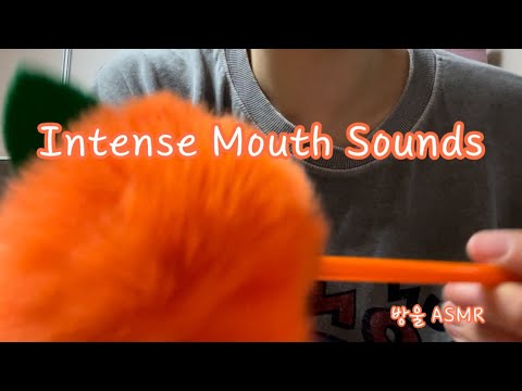 [ASMR] (No Talking) Intense Mouth Sounds | 마이크에 가까운 입소리