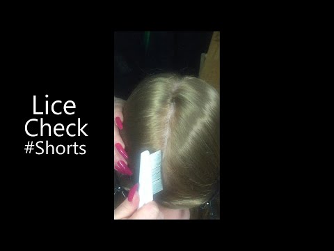 ASMR Lice Check with Lice Comb (NO TALKING) #Shorts