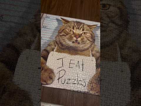 ASMR Tapping On A Cat Puzzle (No Talking) #ASMR #Shorts